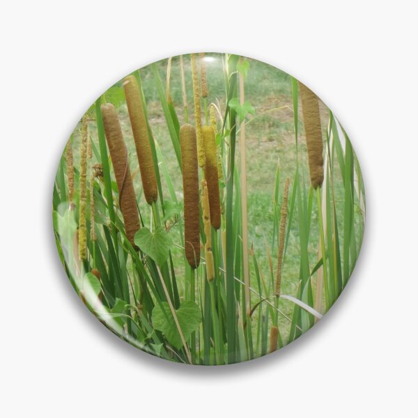 Item preview, Bull Rushes designed and sold by Genevieve Hanlon Art and Photography.
