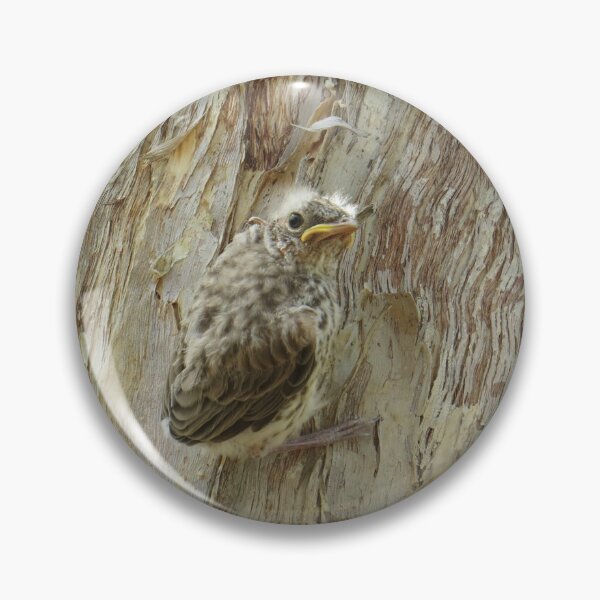 Item preview, Paperbark and Rufous Whistler Chick designed and sold by Genevieve Hanlon Art and Photography.