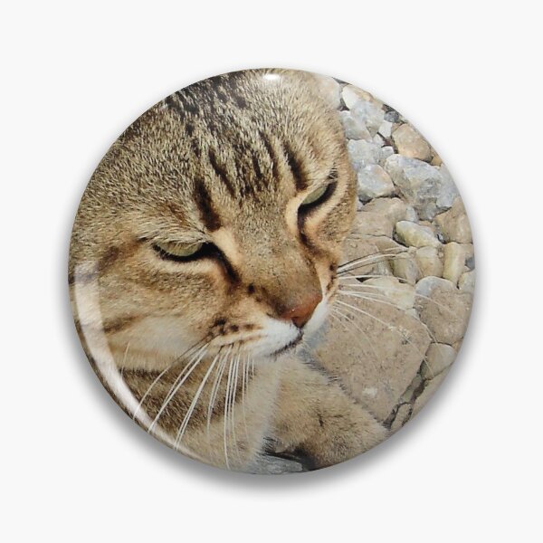 Artikelvorschau, Entspannte getigerte Katze gegen Steine und Kiesel entworfen und verkauft von taiche.