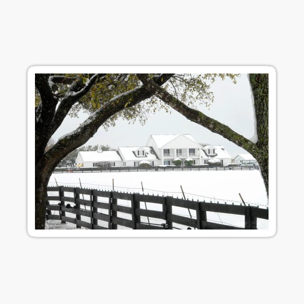 Item preview, Southfork Ranch Home of "Dallas" - TV Mini-Series designed and sold by Dyle Cronenweth-Warren.