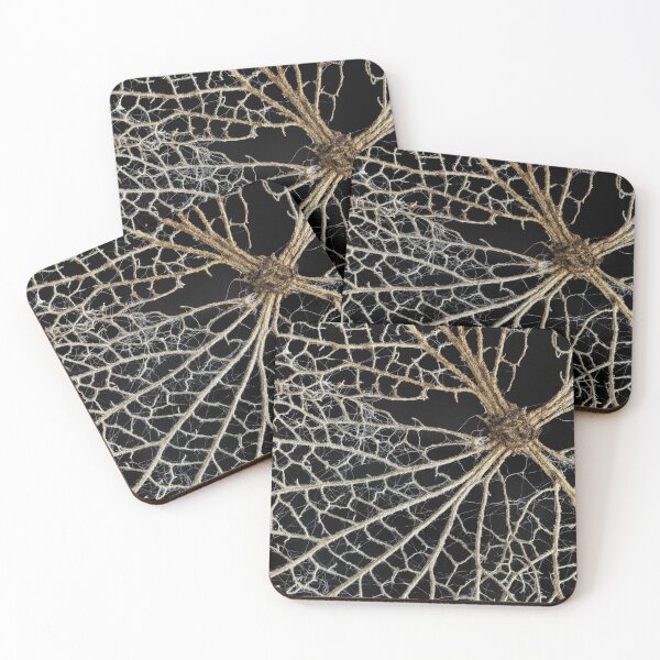Item preview, Leaf Skeleton 2 designed and sold by Nigel R Bell Photography.
