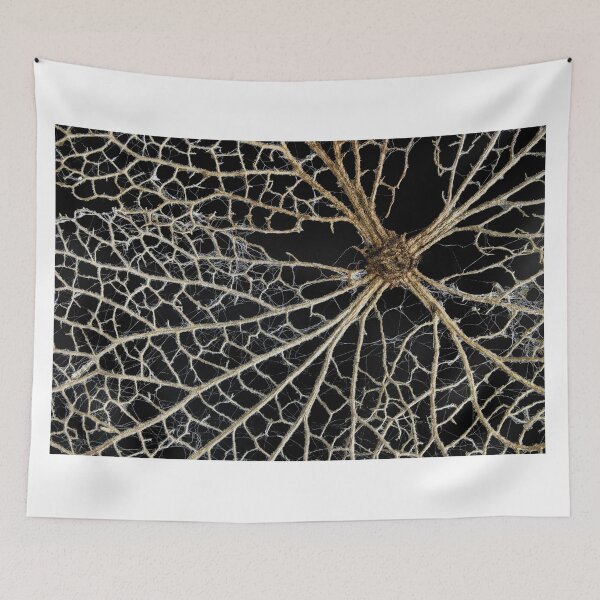 Item preview, Leaf Skeleton 2 designed and sold by Nigel R Bell Photography.
