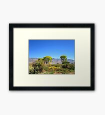 Another Perfect Day Framed Print