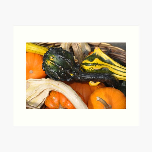 Item preview, Have You Lost Your Gourd? designed and sold by Wviolet28.