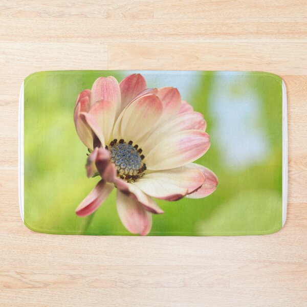 Item preview,  Osteospermum designed and sold by John Ray.