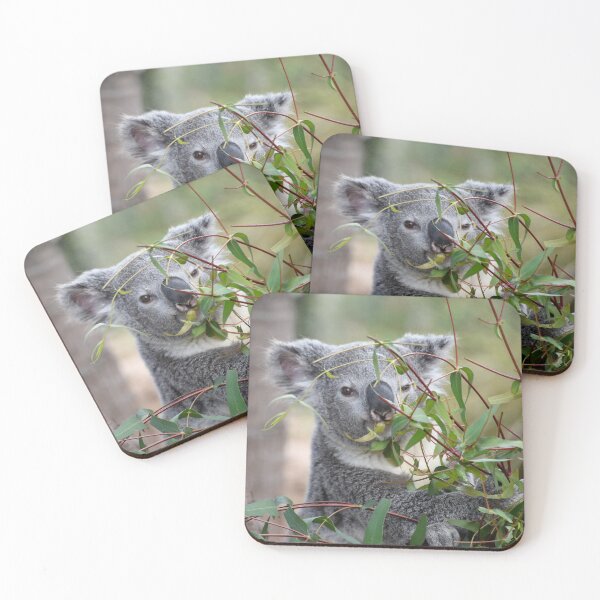 Item preview, Koala at the San Diego Zoo designed and sold by Zoo and Nature Photography by Karie.