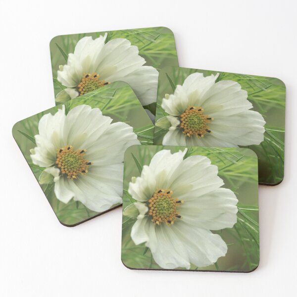 Item preview,  White Cosmos Flower designed and sold by John Ray.