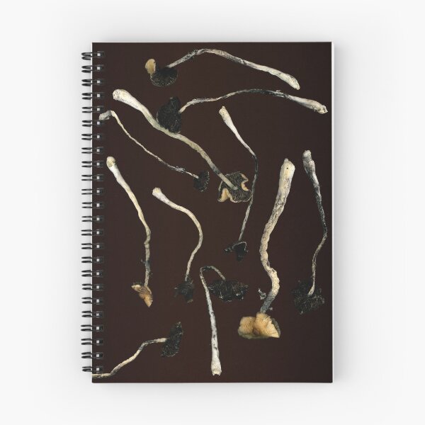 Item preview, Shrooms designed and sold by Kontra Experiment.