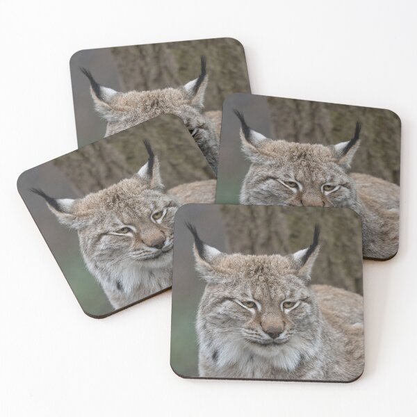 Artikelvorschau, Luchs entworfen und verkauft von rawshutterbug.