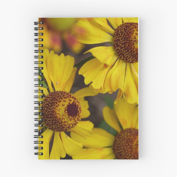 Item preview, Sunshine in flower form designed and sold by Circadian ArtSci.