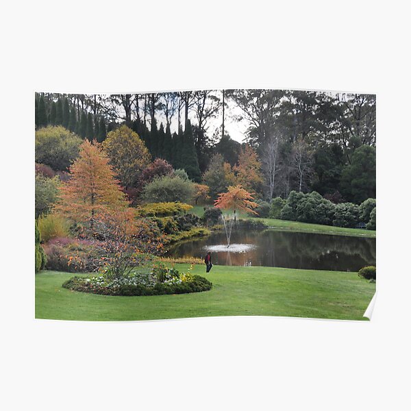 BISLEY GARDENS, MOUNT WILSON, NSW. Poster