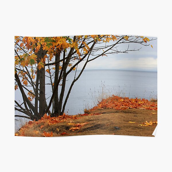 Autumn sliced with a tear Poster