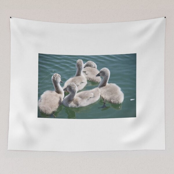 Item preview, Pretty fluffy little duckling villains designed and sold by EstelleRossetti.