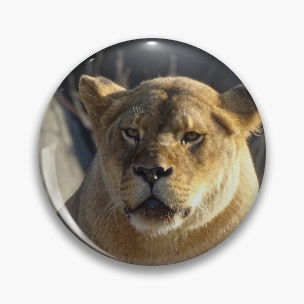 Item preview, Sunbathing Lioness designed and sold by Catavan.