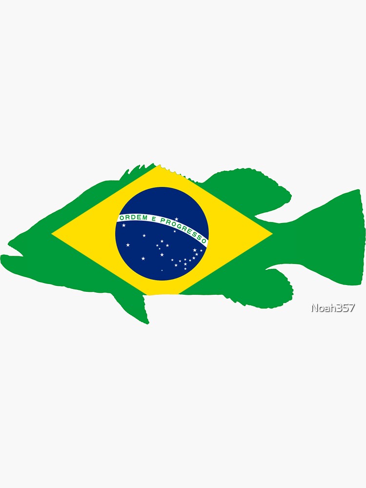 Brazil  Peacock Bass Fishing