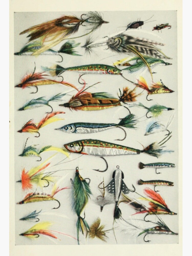 Fishing Lures Art Board Print for Sale by bluespecsstudio