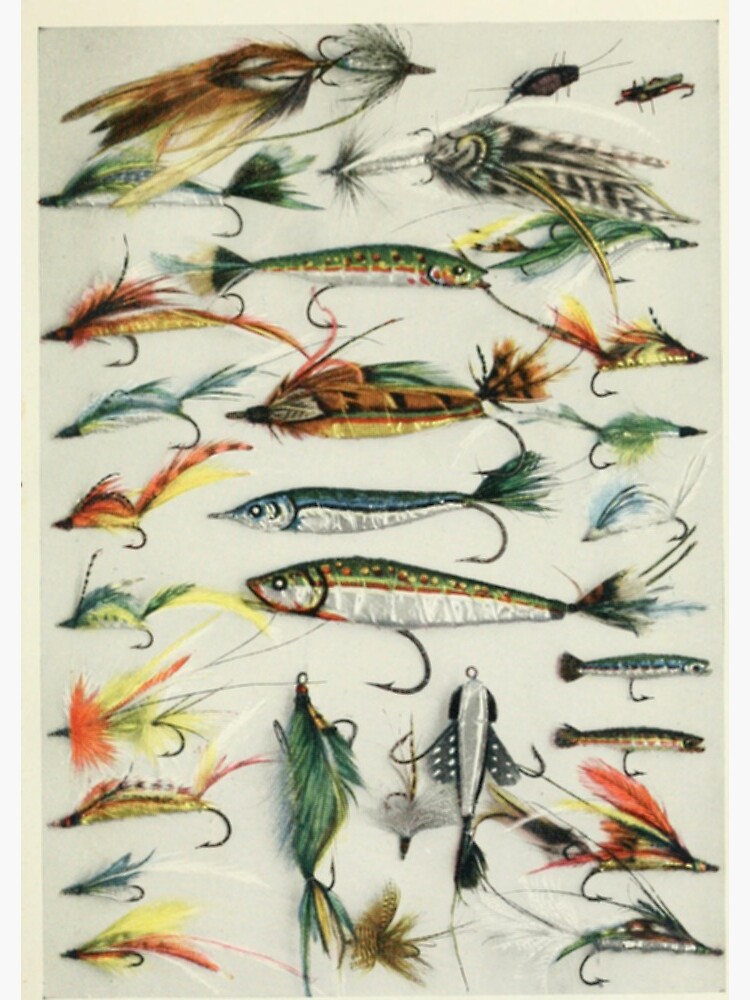 Fishing Lures Spiral Notebook for Sale by bluespecsstudio