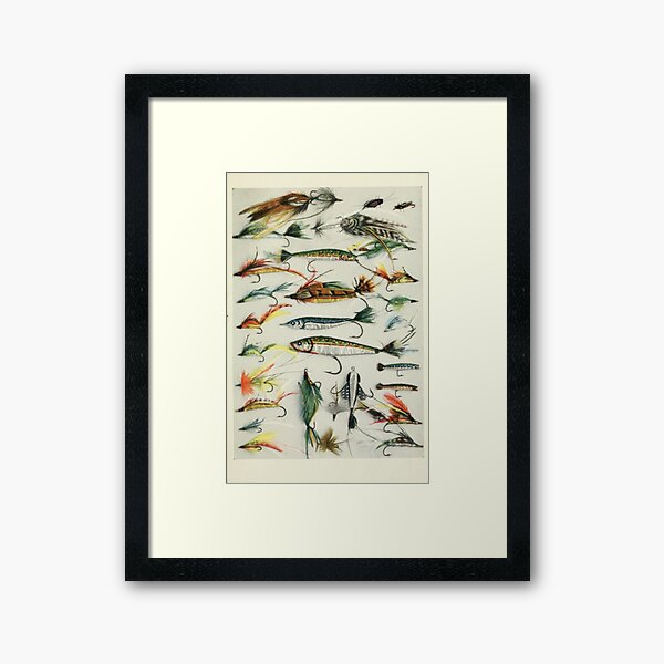 Fly Fishing Chart Framed Art Print for Sale by bluespecsstudio