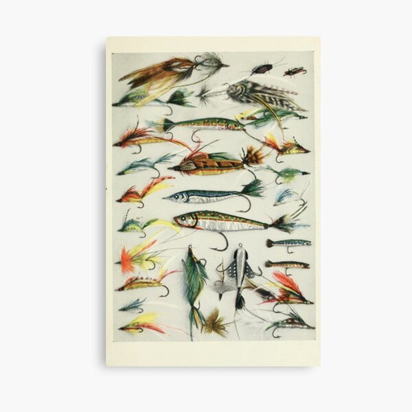 Vintage Fishing Lures Art Print for Sale by LIMEZINNIASDES