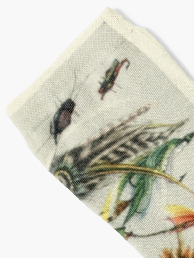 Alternate view of Fishing Lures Socks