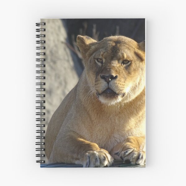 Item preview, Sunbathing Lioness designed and sold by Catavan.