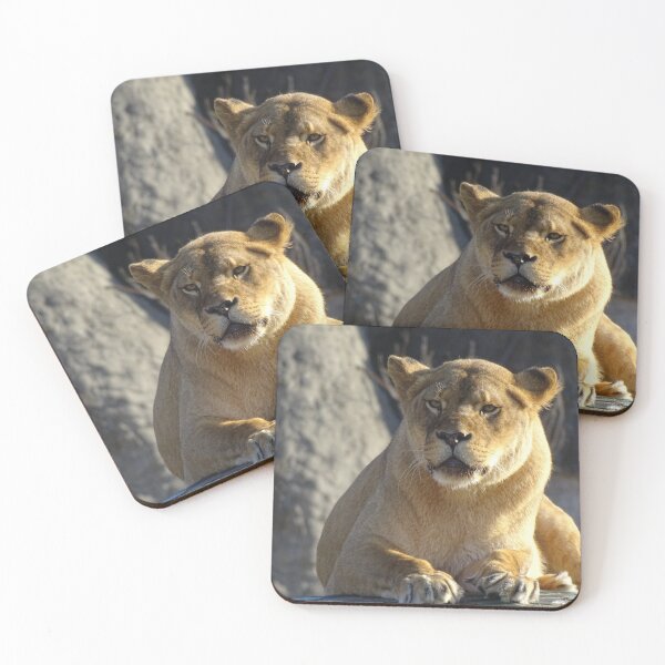 Item preview, Sunbathing Lioness designed and sold by Catavan.