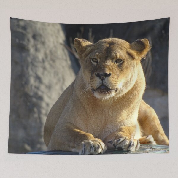 Item preview, Sunbathing Lioness designed and sold by Catavan.