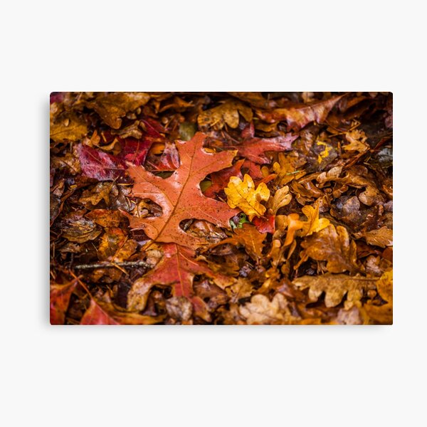 Item preview, Autumn  designed and sold by Russell Charters.