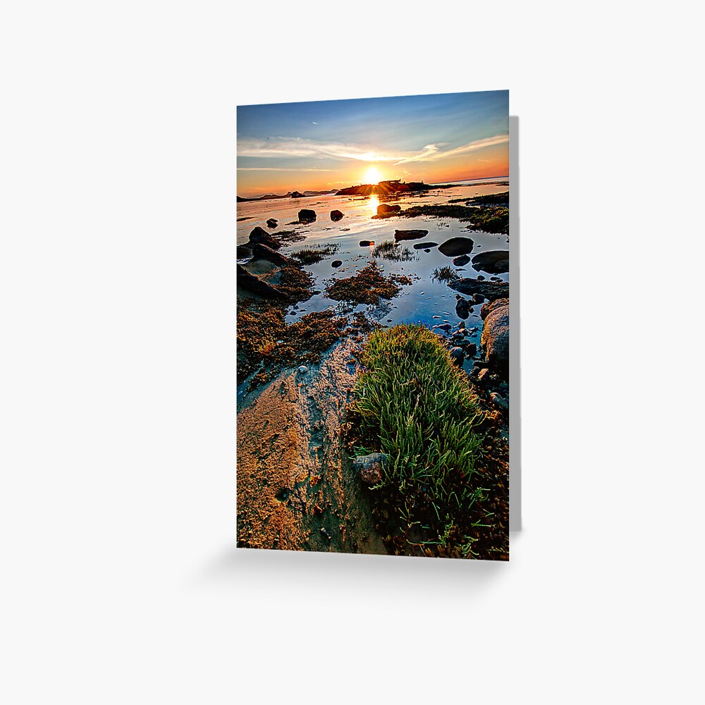 Cabbage Island Panorama at Sunset Greeting Card