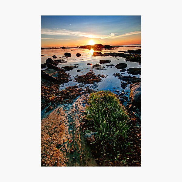 Cabbage Island Panorama at Sunset Photographic Print