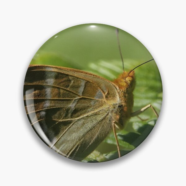 Item preview, Silver washed fritillary designed and sold by frogs123.