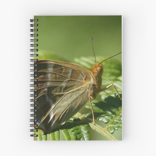 Item preview, Silver washed fritillary designed and sold by frogs123.
