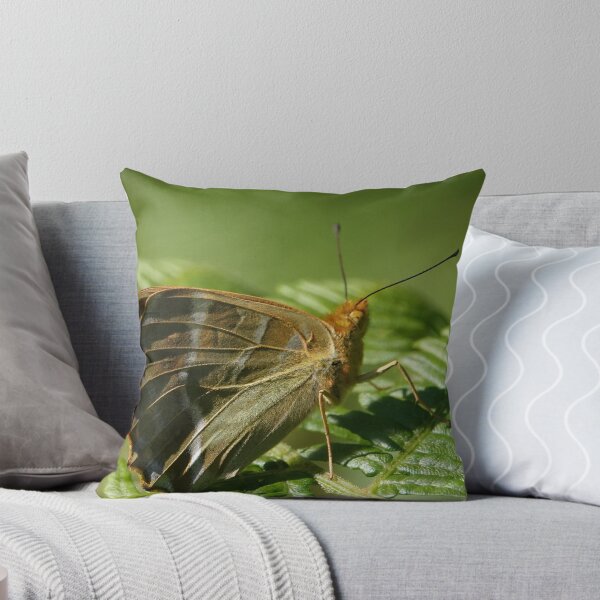Item preview, Silver washed fritillary designed and sold by frogs123.