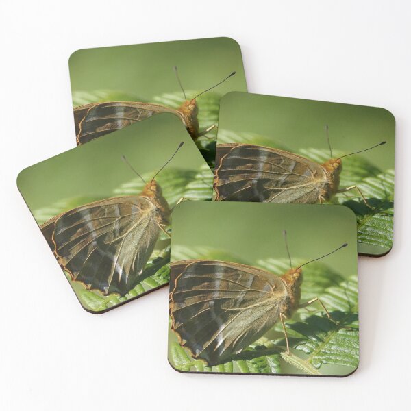 Item preview, Silver washed fritillary designed and sold by frogs123.