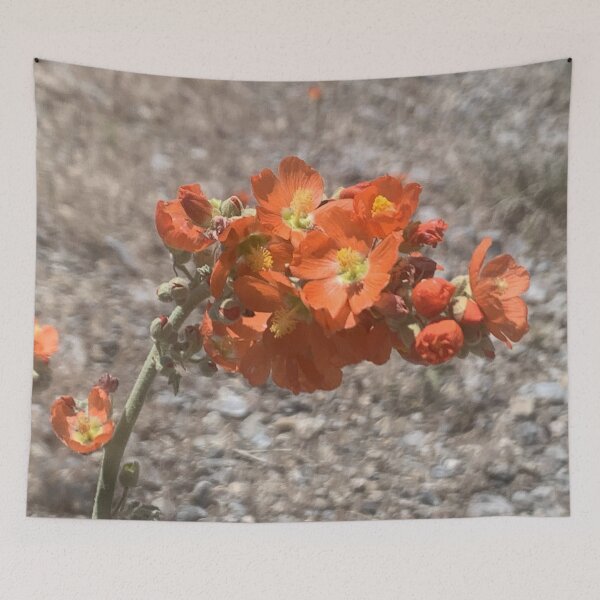 Item preview, Globemallow designed and sold by GraceSage.