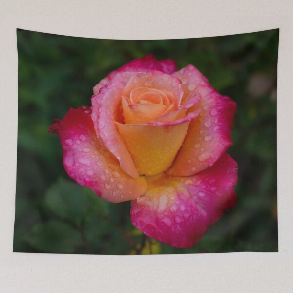 Item preview, Raindrops on Roses 2 designed and sold by KPcaptures.