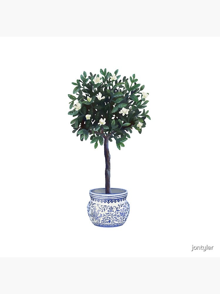 Bolsa de tela «Árbol de Gardenia en maceta» de jontyler | Redbubble