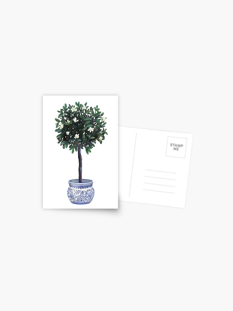 Postal «Árbol de Gardenia en maceta» de jontyler | Redbubble