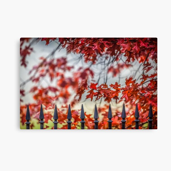 Item preview, Maple designed and sold by Russell Charters.