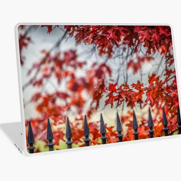 Item preview, Maple designed and sold by Russell Charters.