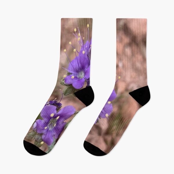 Item preview, Phacelia Crenulata Blossom designed and sold by GraceSage.