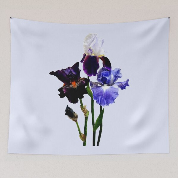 Item preview, Three Kinds of Irises designed and sold by Susan Savad.