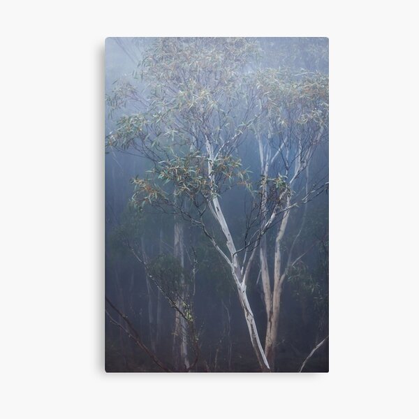 Item preview, Tall Tree designed and sold by Russell Charters.