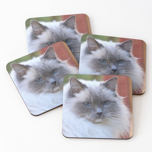 Item preview, Fluffy Ragdoll cat  designed and sold by Leon  Wall.