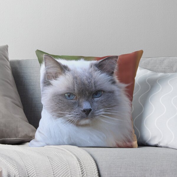 Item preview, Fluffy Ragdoll cat  designed and sold by Leon  Wall.