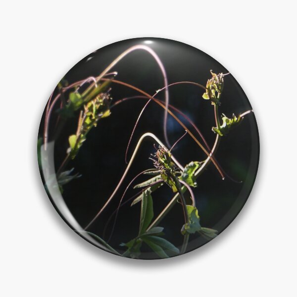 Item preview, Passion flower designed and sold by Paul Pasco.