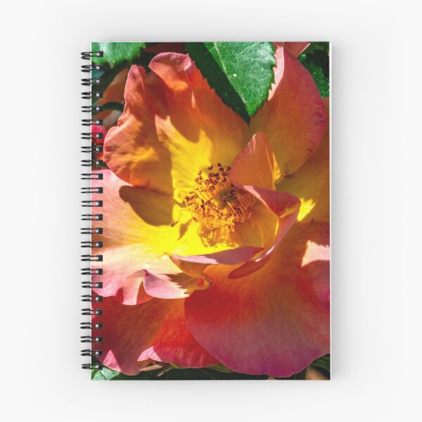 Item preview, Sunrise Rose in the Sun designed and sold by Bryan Spellman.