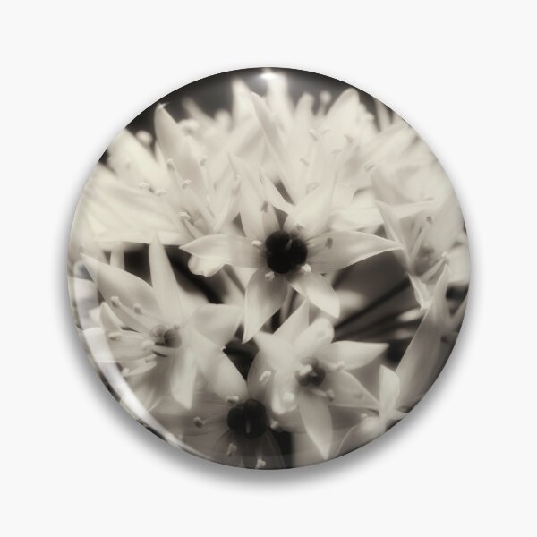 Item preview, Wild Garlic flower No. 2 (B&W) designed and sold by Phillip Thornton.