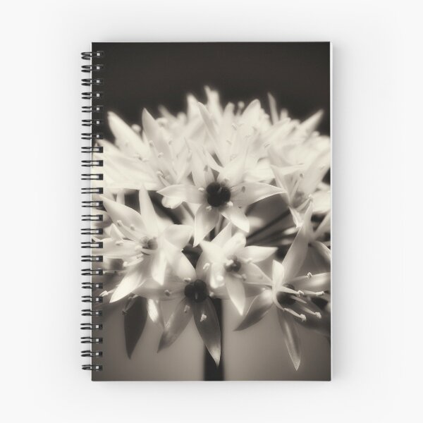 Item preview, Wild Garlic flower No. 2 (B&W) designed and sold by Phillip Thornton.