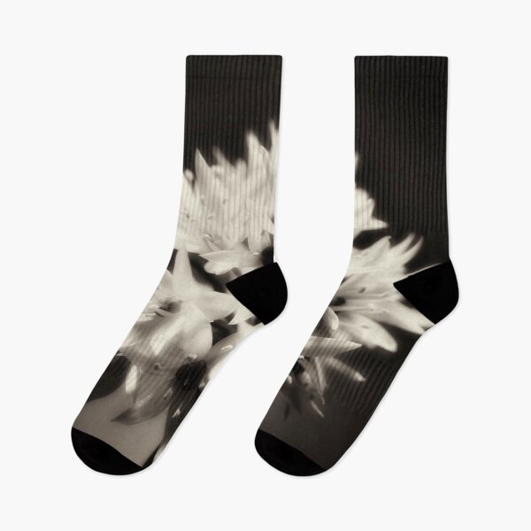 Item preview, Wild Garlic flower No. 2 (B&W) designed and sold by Phillip Thornton.